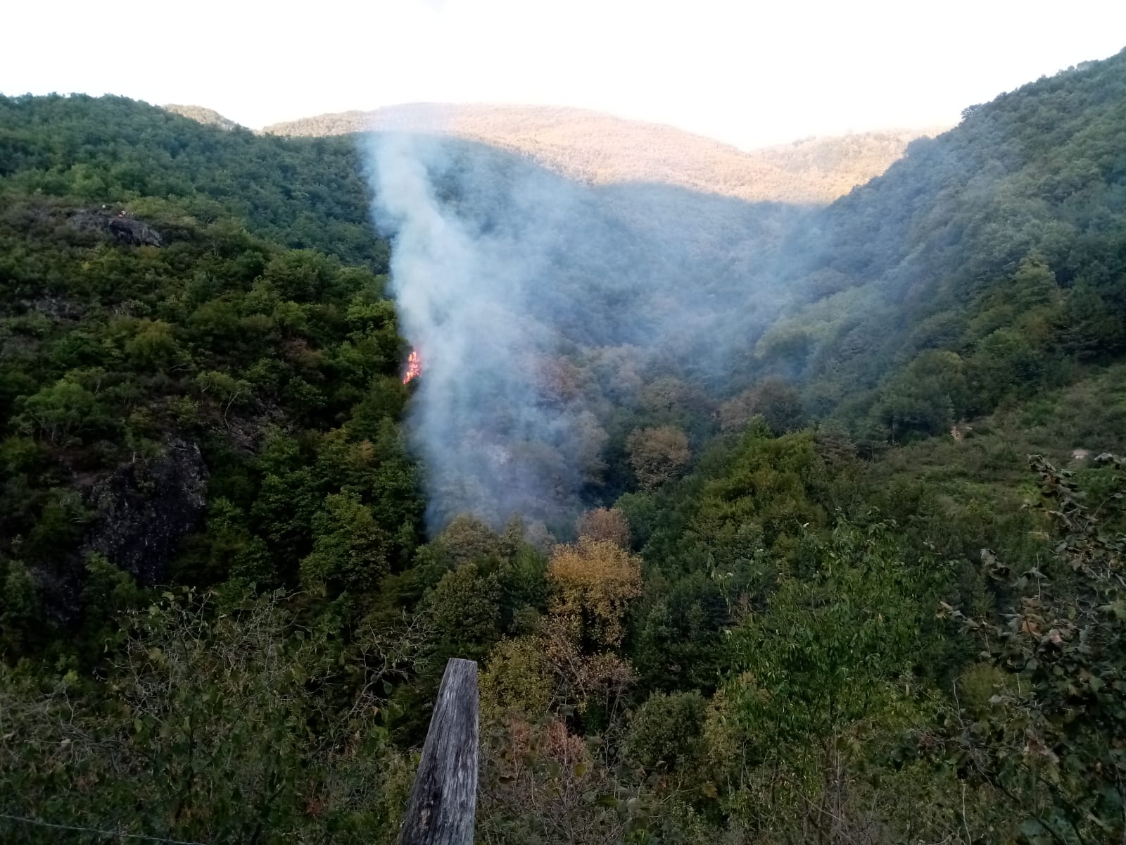 Cide’de orman yangını