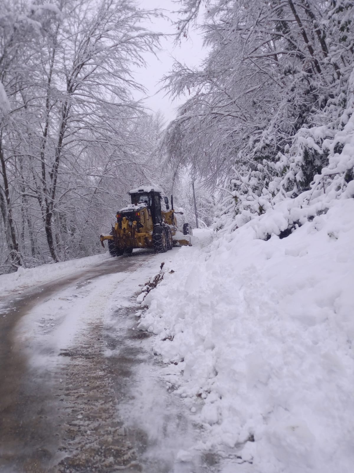 Cide’de kardan kapanan 20 köy yolu, ulaşıma açıldı