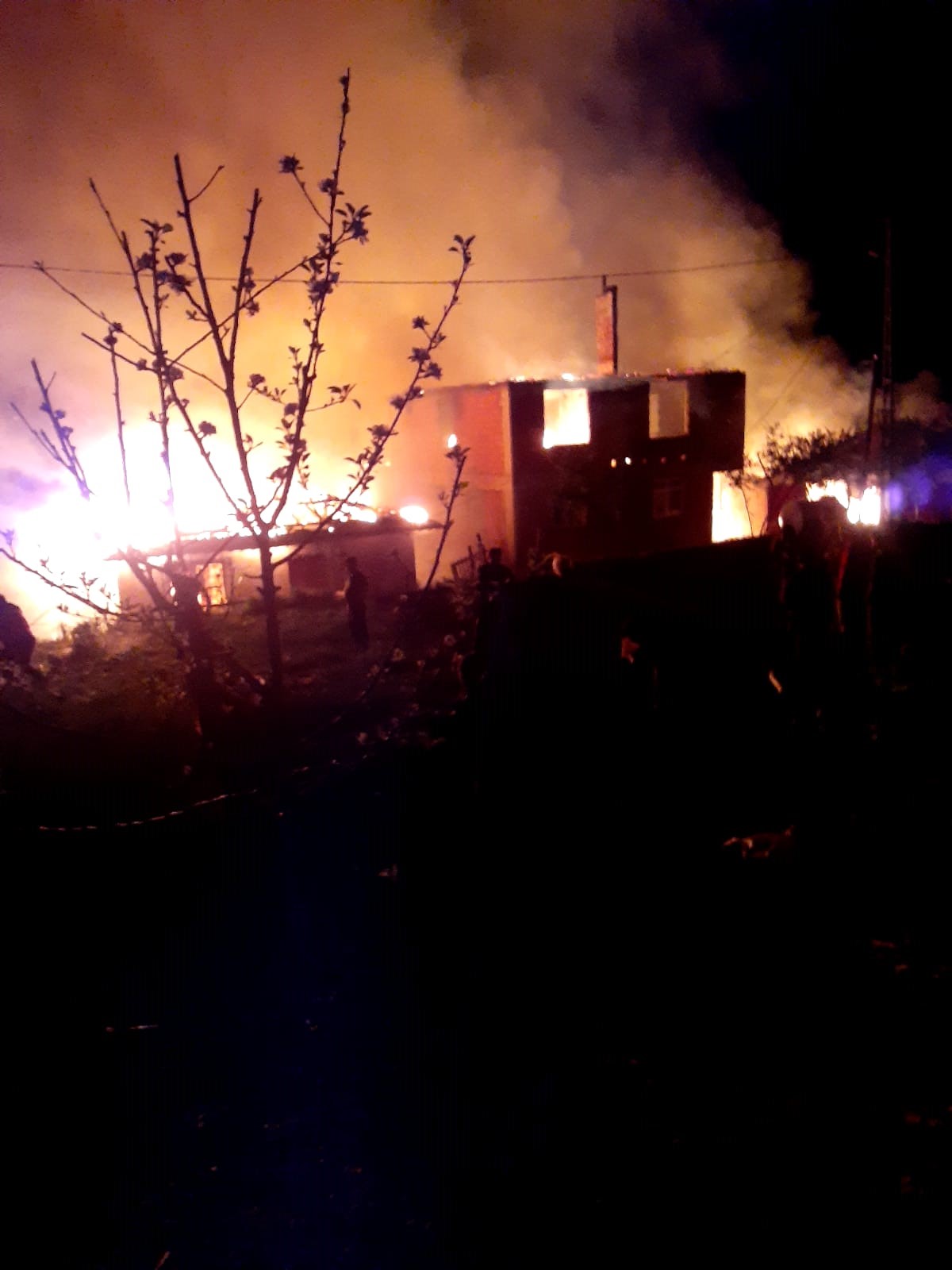 Cide’de korkutan yangın: 6 ev alev alev yandı!